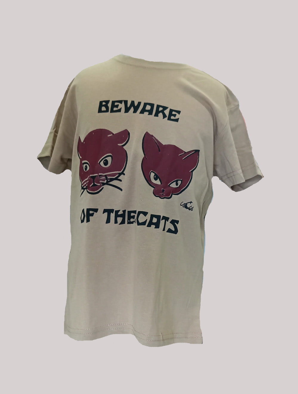 BEWARE OF THE CATS A10A8A4A6